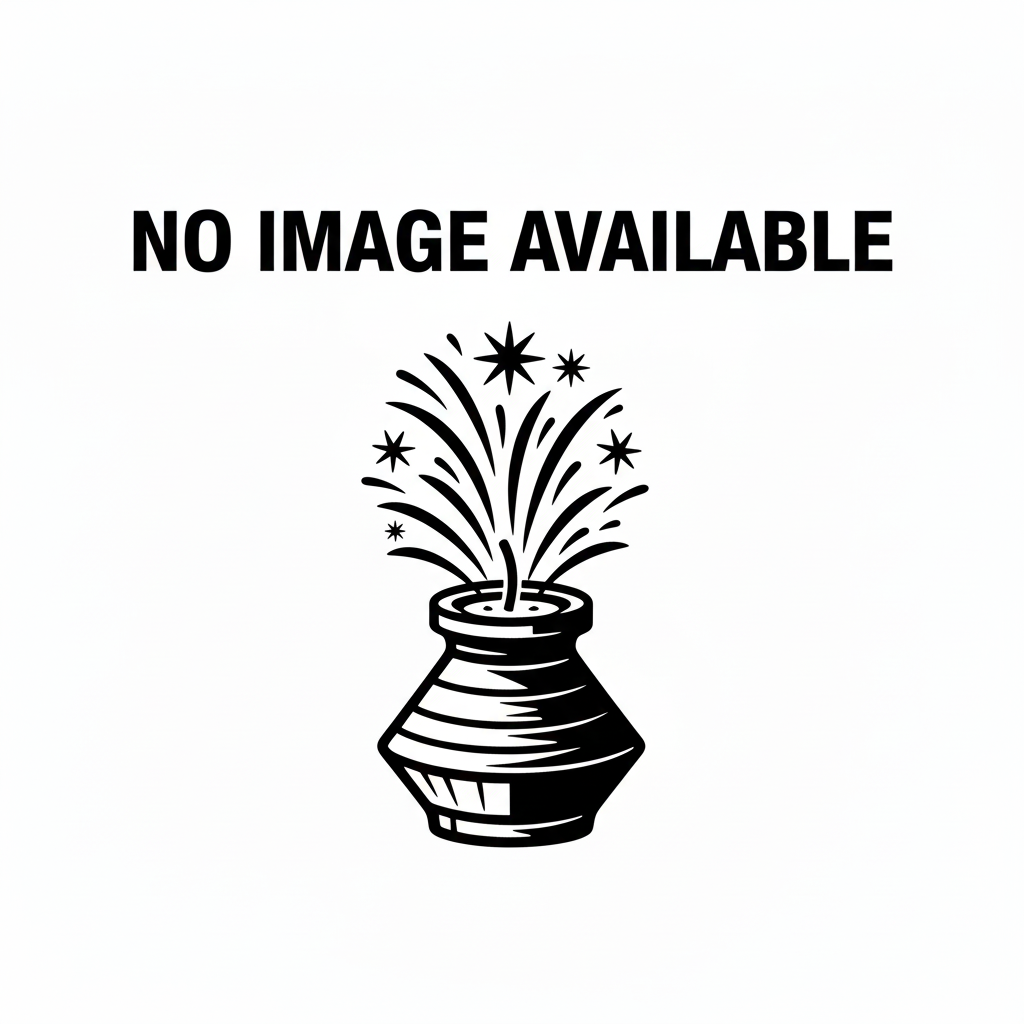 Joy Wheel (Pink Colour Wheel)